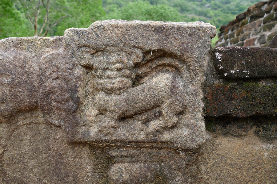 lion relief at a Makara railing in Namal Pokuna 