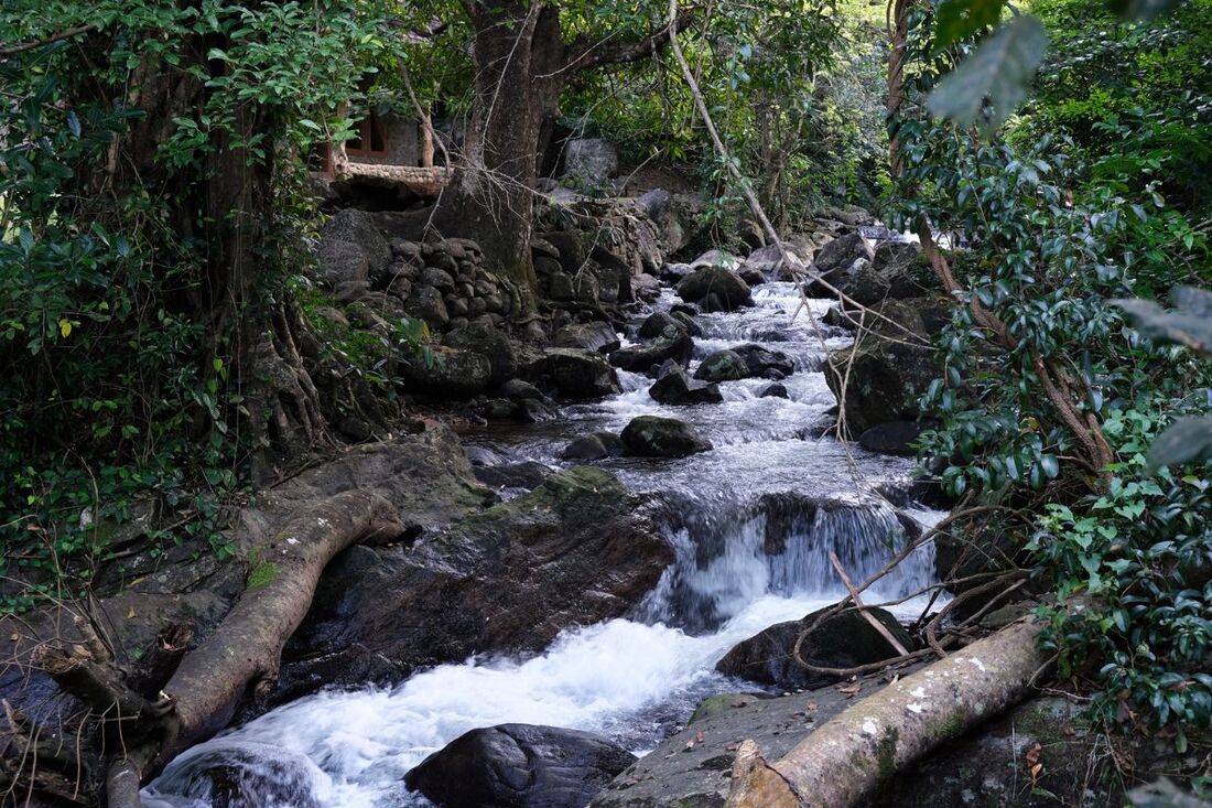 stream in Narangamuwa village in Sri Lanka