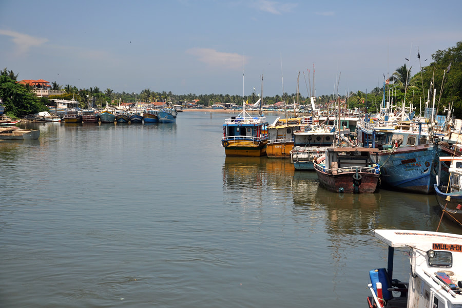 Negombo fishing harbour