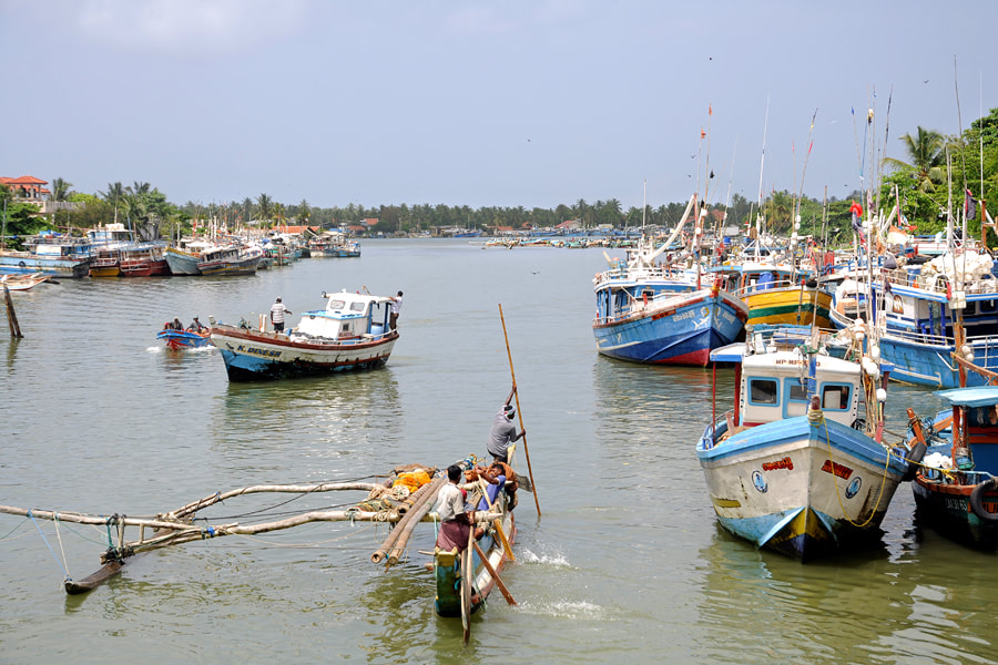 Fishing harbour of Negombo