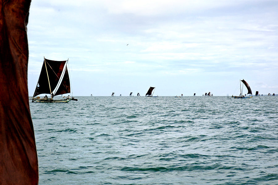 Oru fisher boats near Negombo