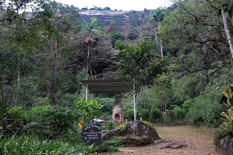 ruins of James Taylor's bungalow in Loolecondera Estate in central Sri Lanka