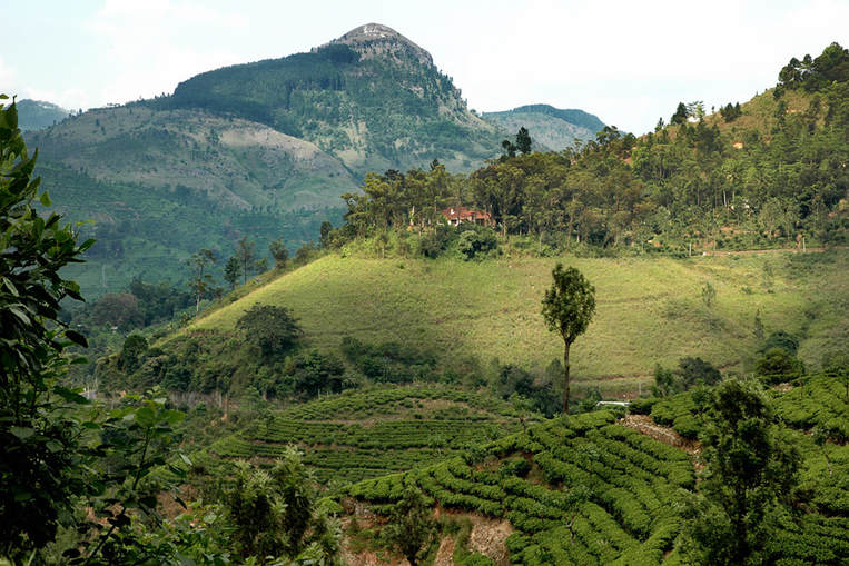 Uva hillcountry near Passara in Sri Lanka