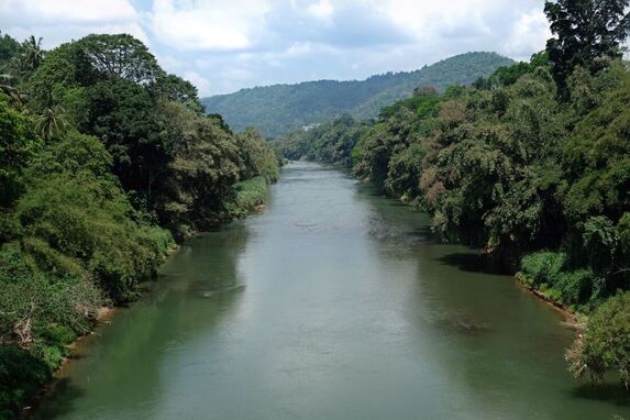 Mahaweli River at the Royal Botanical Garden of Paradeniya in Sri Lanka
