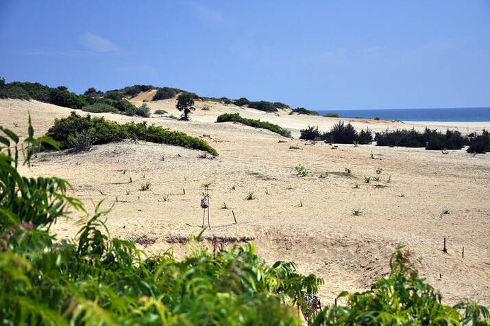 Pottuvil dand dunes title photo