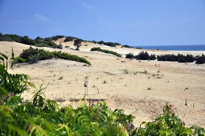 sand dune field of Pottuvol in the southeasr of Sri Lanka