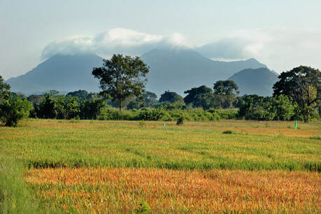 Ritigala mountain ridge in Sri Lanka's North-central Province 