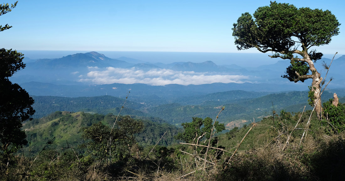 view from Riverston in Knuckles Range to the valley of Matala in central Sri Lanka