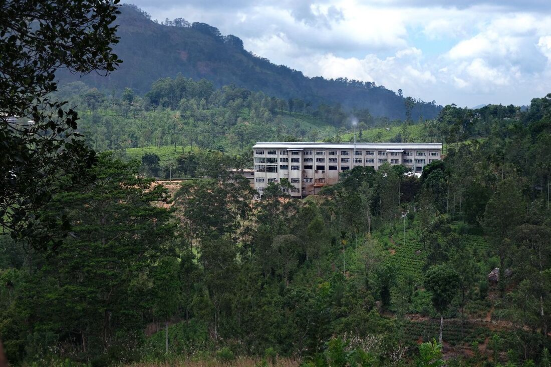 Rothschild tea factory in Pussellawa in the central higlands of Sri Lanka