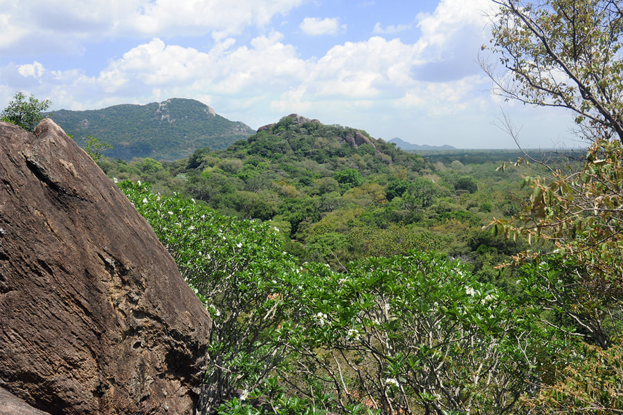 view from Rajagirilena to the area of Kaludiya Pokuna