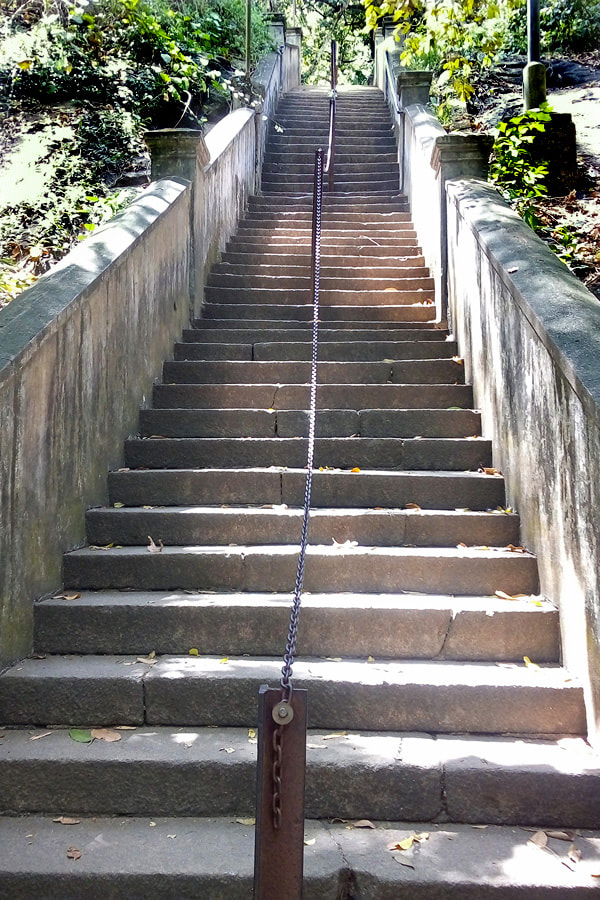 staircase to the Meda Maluwa of Varana