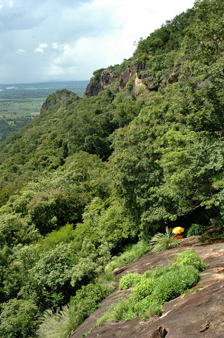 southern flank of Dimbulagala range