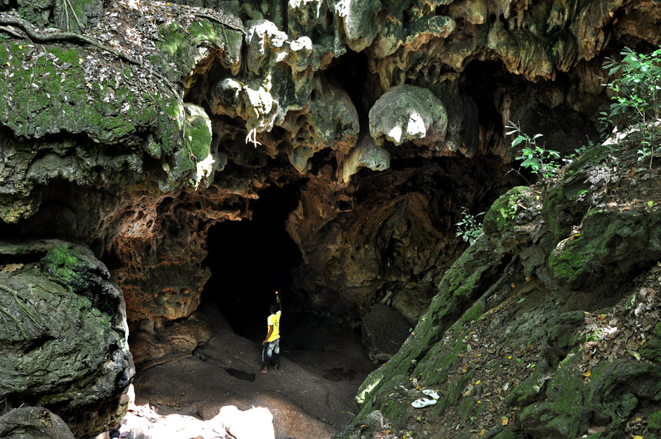 Bats Cave Wavulpone in southern Sri Lanka